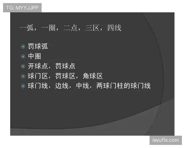 裁判报告在足球比赛中的作用及规范填写规则解析